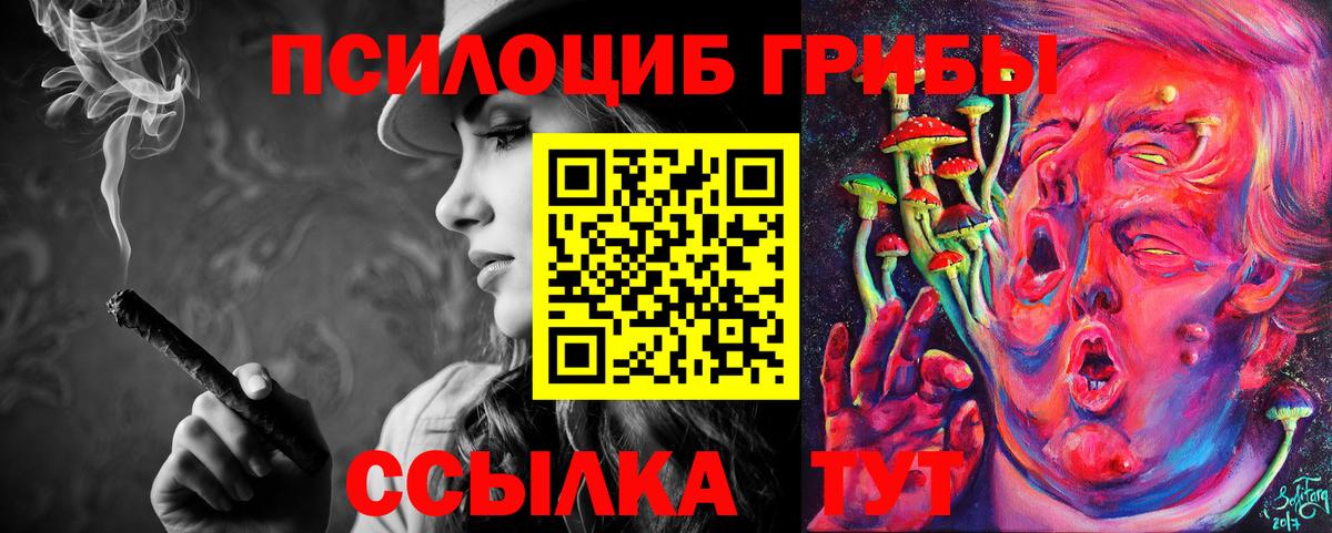 Галлюциногенные грибы Cubensis Бузулук