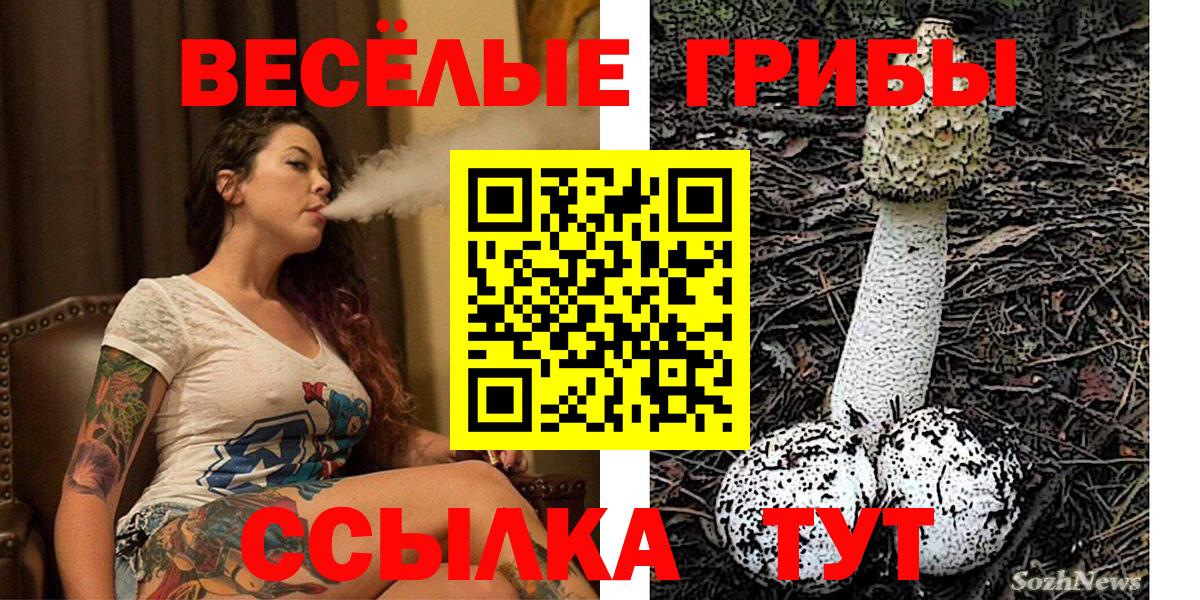Бузулук  Галлюциногенные грибы ЛСД  Галлюциногенные грибы мицелий  Вход с VPN 